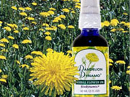 Dandelion Dynamo, Herbal Flower Oil, 4 oz, Flower Essence Services Cheap