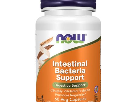 Intestinal Bacteria Support, 60 Veg Capsules, NOW Foods Online Hot Sale