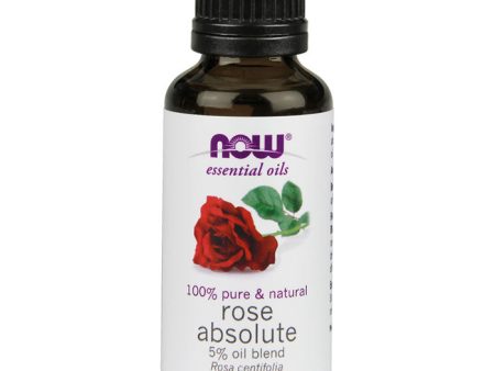 Rose Absolute Oil Blend, Natural Essential Oil, 1 oz, NOW Foods Online Sale