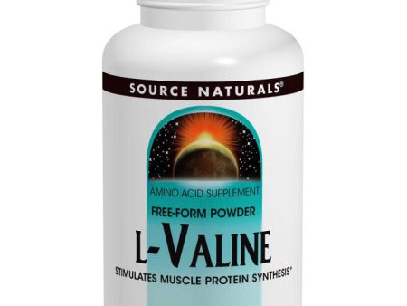 L-Valine Powder, 3.53 oz (100 g), Source Naturals Discount